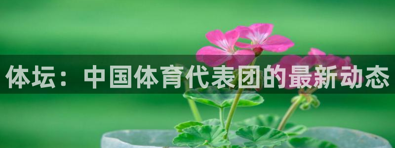 3377体育官方正版app娱乐首页官网下载:体坛:中国体育代