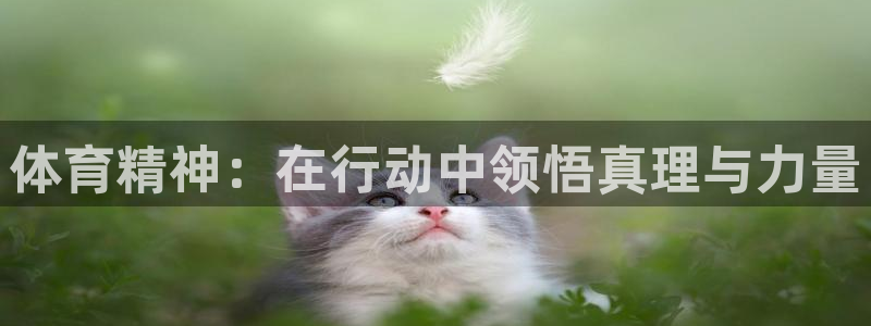 3377体育官方正版app集团E.ON:体育精神:在行动中领